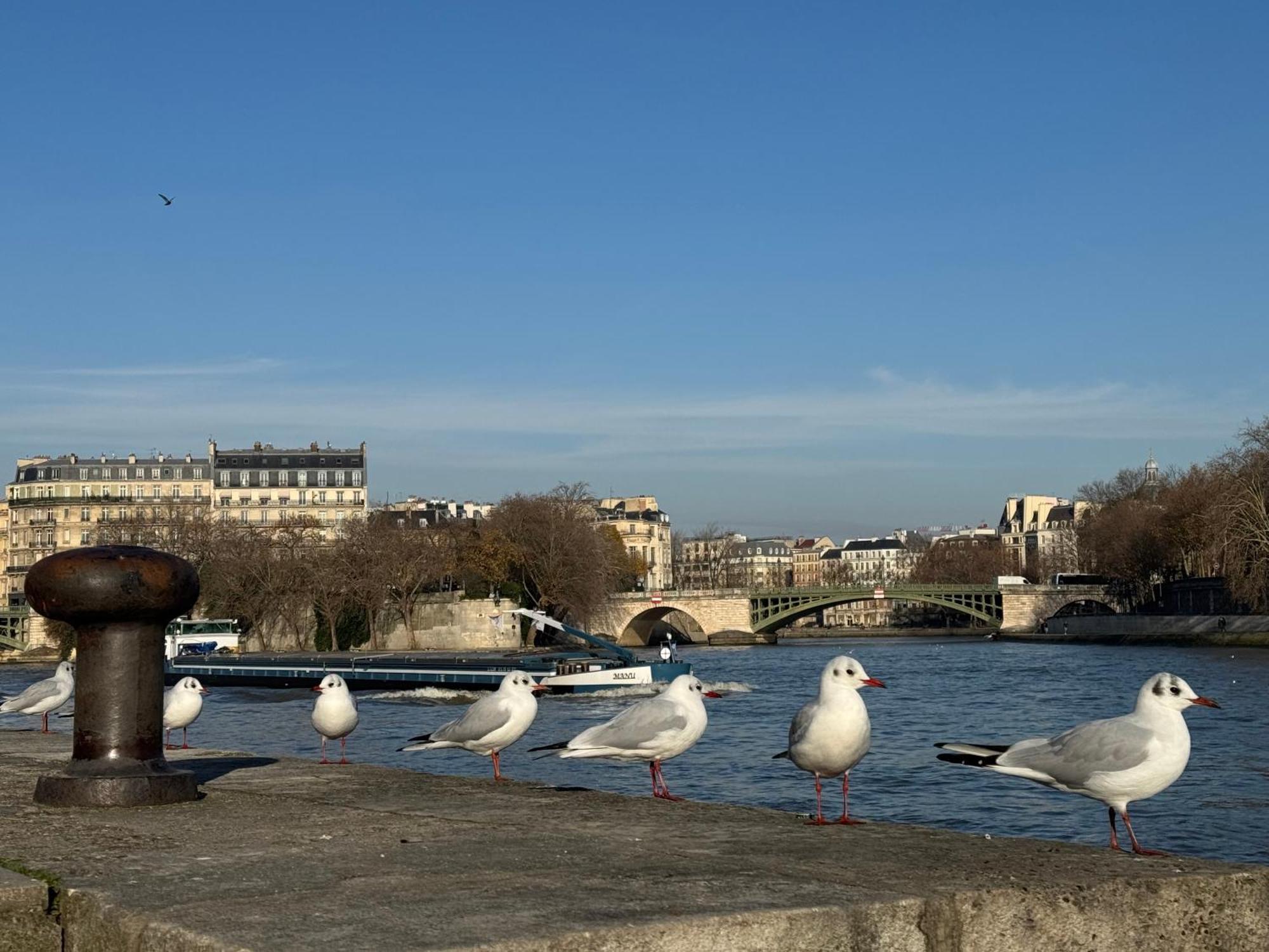 New Private Apartment Paris City Center - Les Arenes Pantheon Notre-Dame Jussieu Jardin Des Plantes Quai De Seine المظهر الخارجي الصورة